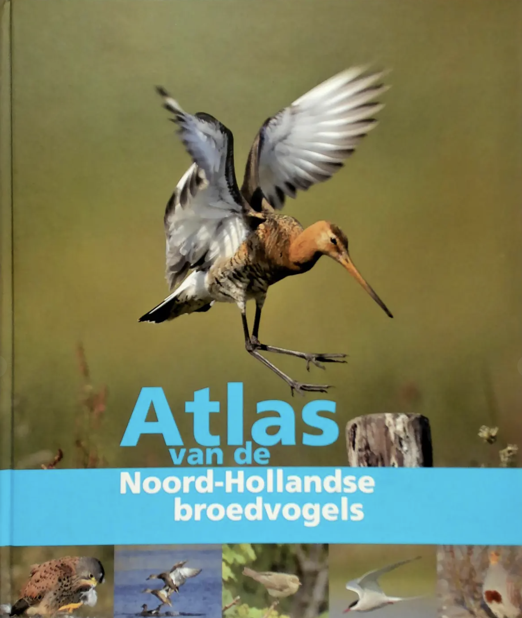 Atlas Noord-Hollandse Broedvogels