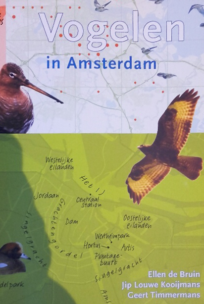 Vogelen in Amsterdam