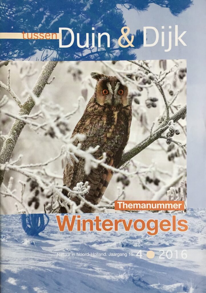 Wintervogels